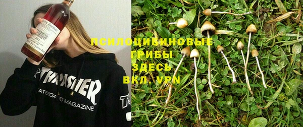 твердый Аркадак